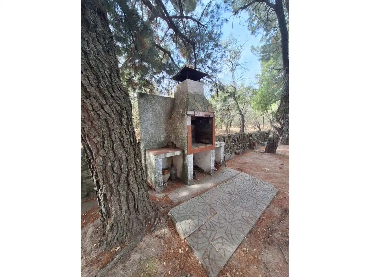 Jardí de Casa o xalet en venda en Moralzarzal amb Calefacció, Jardí privat i Terrassa