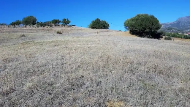 Terreni e lotti in vendita a Avenida de San Roque, imagen 26