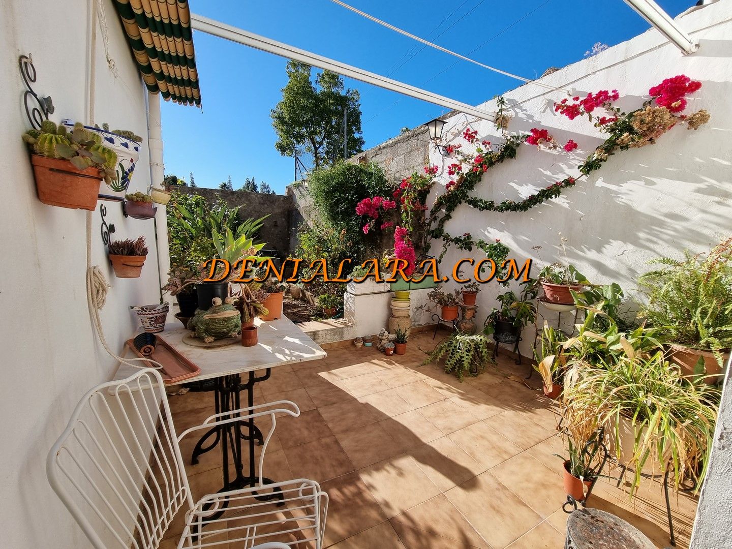 Garden of House or chalet for sale in Sagra  with Private garden, Terrace and Storage room