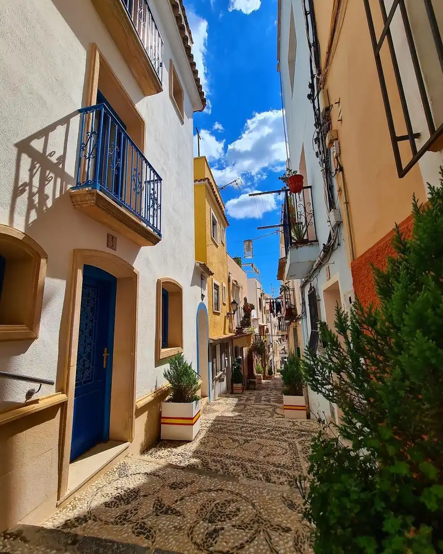 Vista exterior de Local en venta en Calpe / Calp con Internet