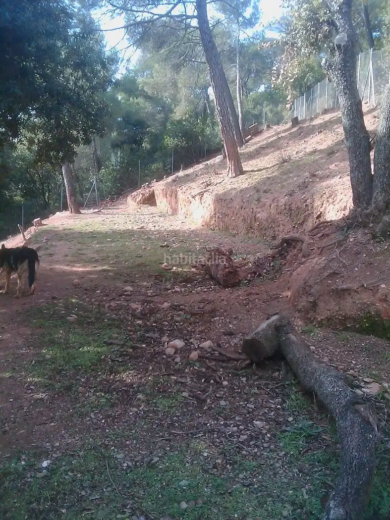 Terreny residencial en venda a Carrer les Bardisses 3, imagen 4
