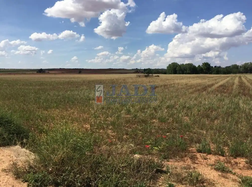 Finca rústica en venta en Alcubillas