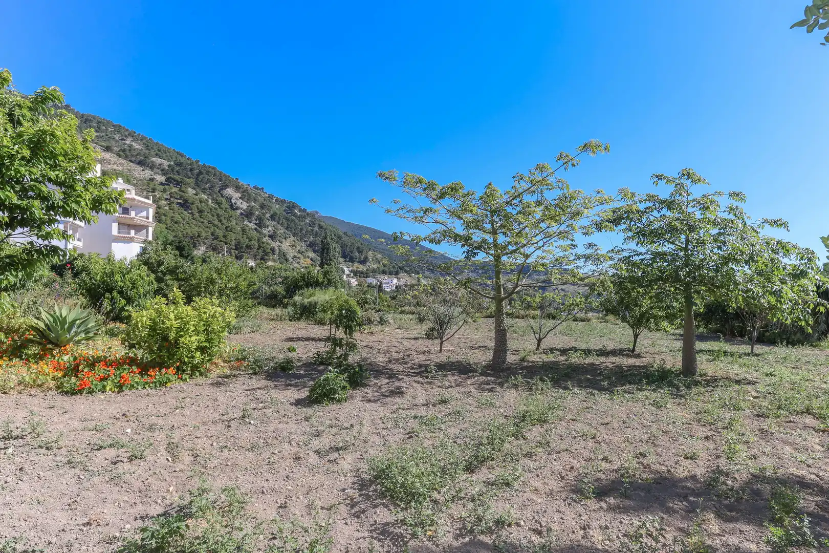 Casa o chalet en venta en N/A, -1, Casarabonela