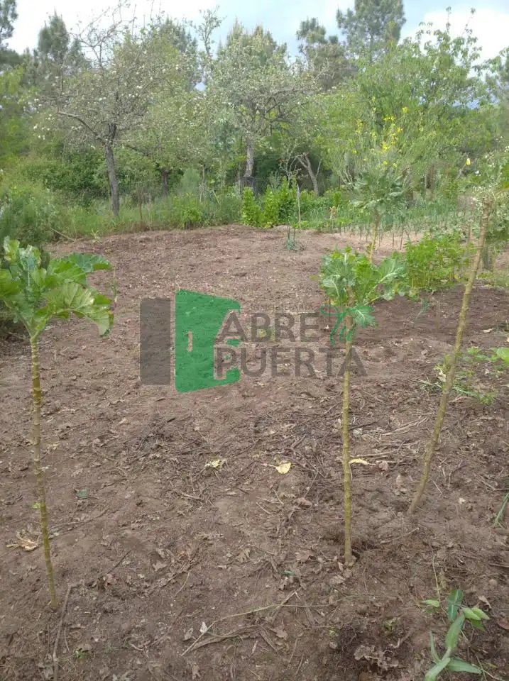 Casa rústica con jardín en venta en San Cibrao das Viñas, imagen 18
