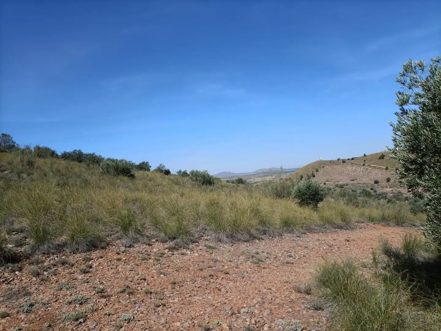 Rural land for sale in Almonacid de Toledo, imagen 3