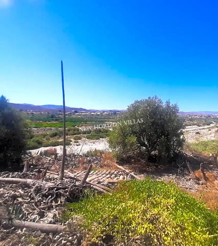 Finca rústica en venta en Arboleas