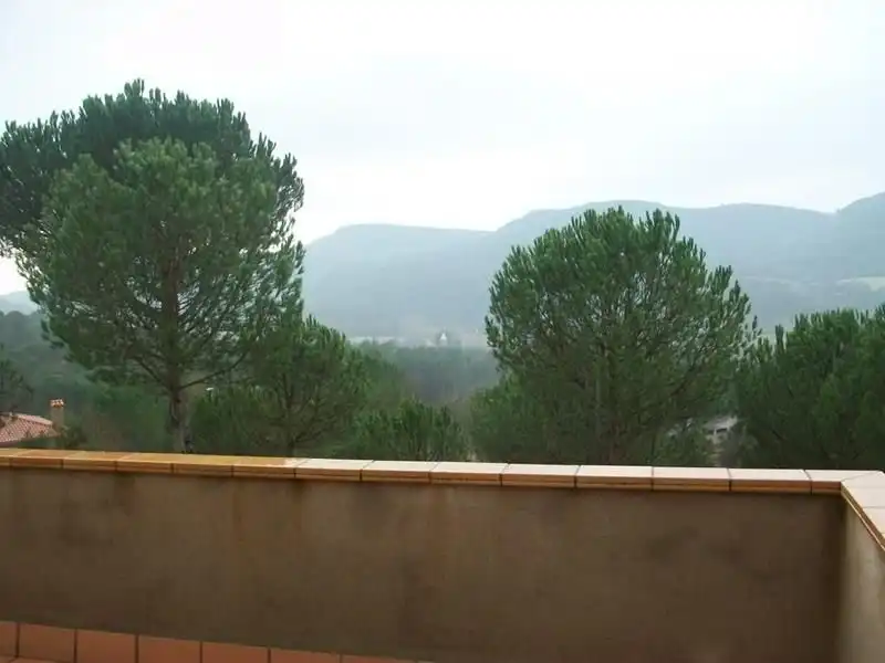 Casa o chalet de alquiler en Sant Aniol de Finestres