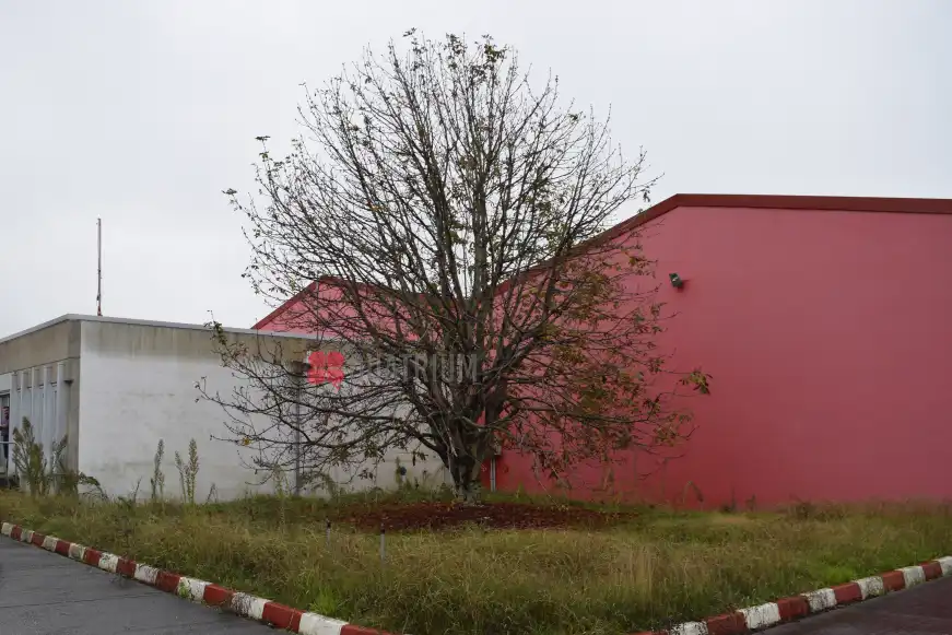 Nau industrial en venda a Piñeiros- Freixeiro, imagen 26