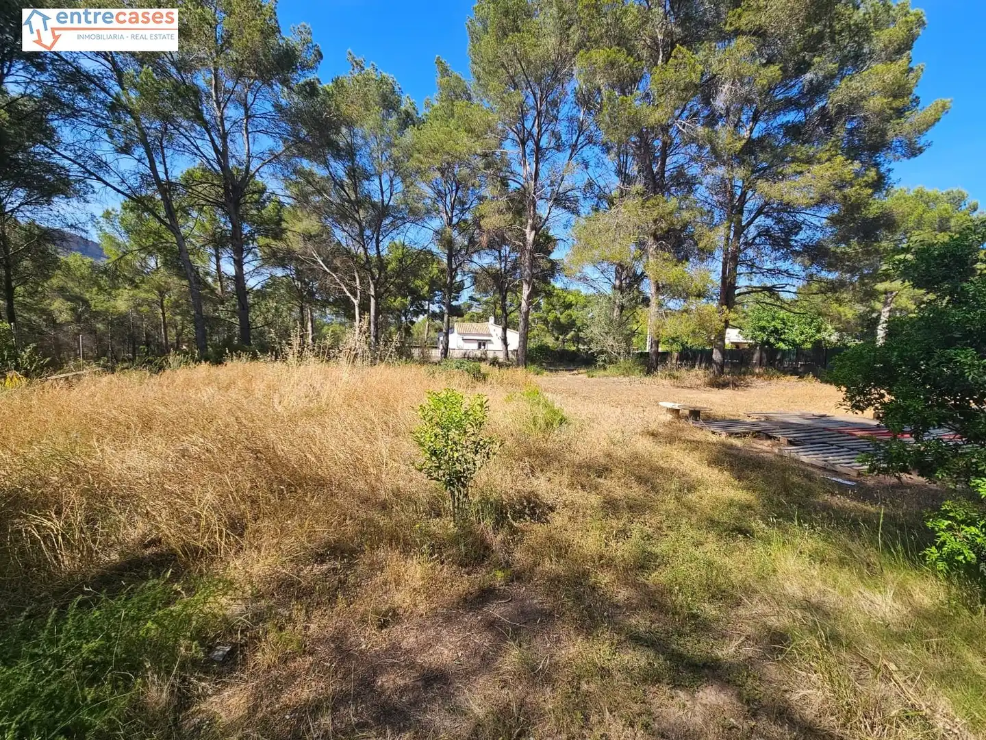 Residential land for sale in Gilet, imagen 15