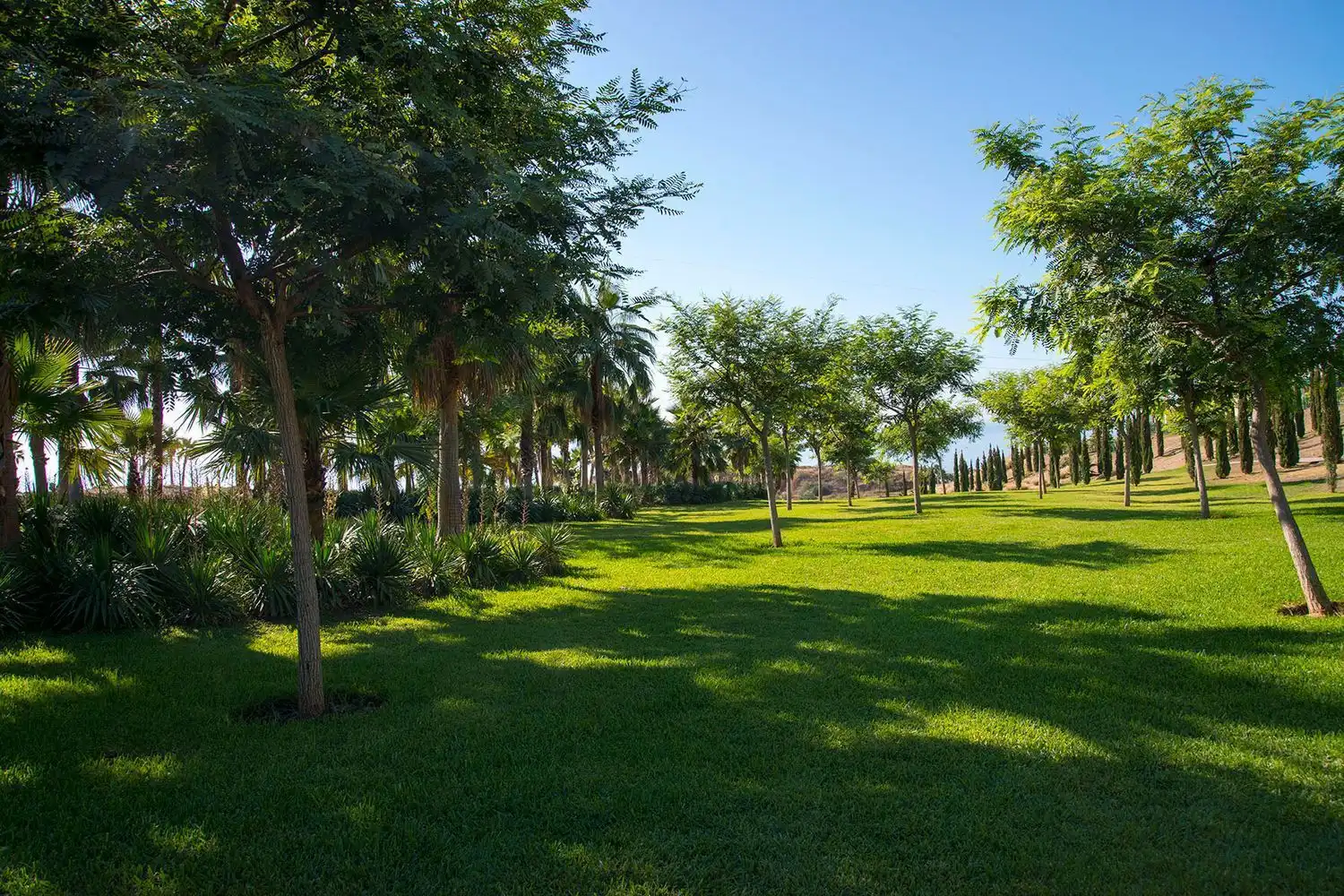 Apartment with pool for sale in El Higuerón, imagen 22