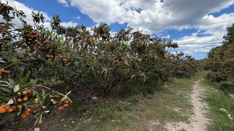 Foto 5 de Finca rústica en venda a Diseminados, La Nucia Pueblo, La Nucia
