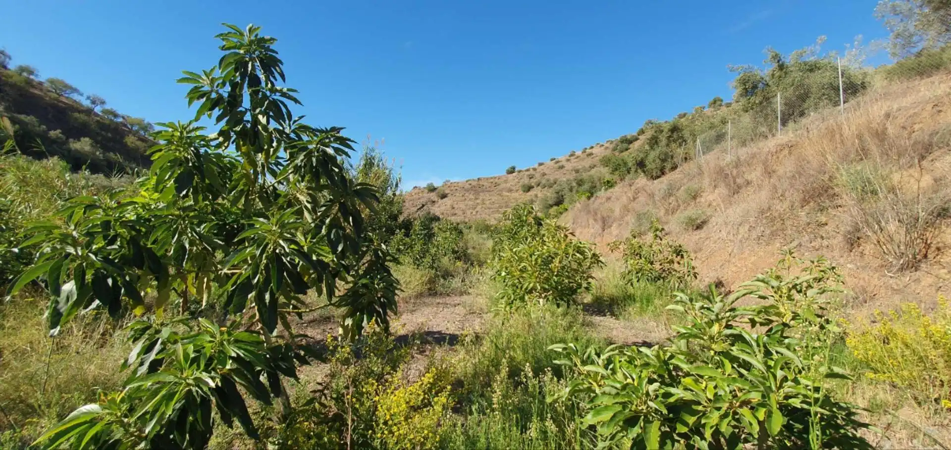 Casa rústica en venda a Totalán, imagen 17