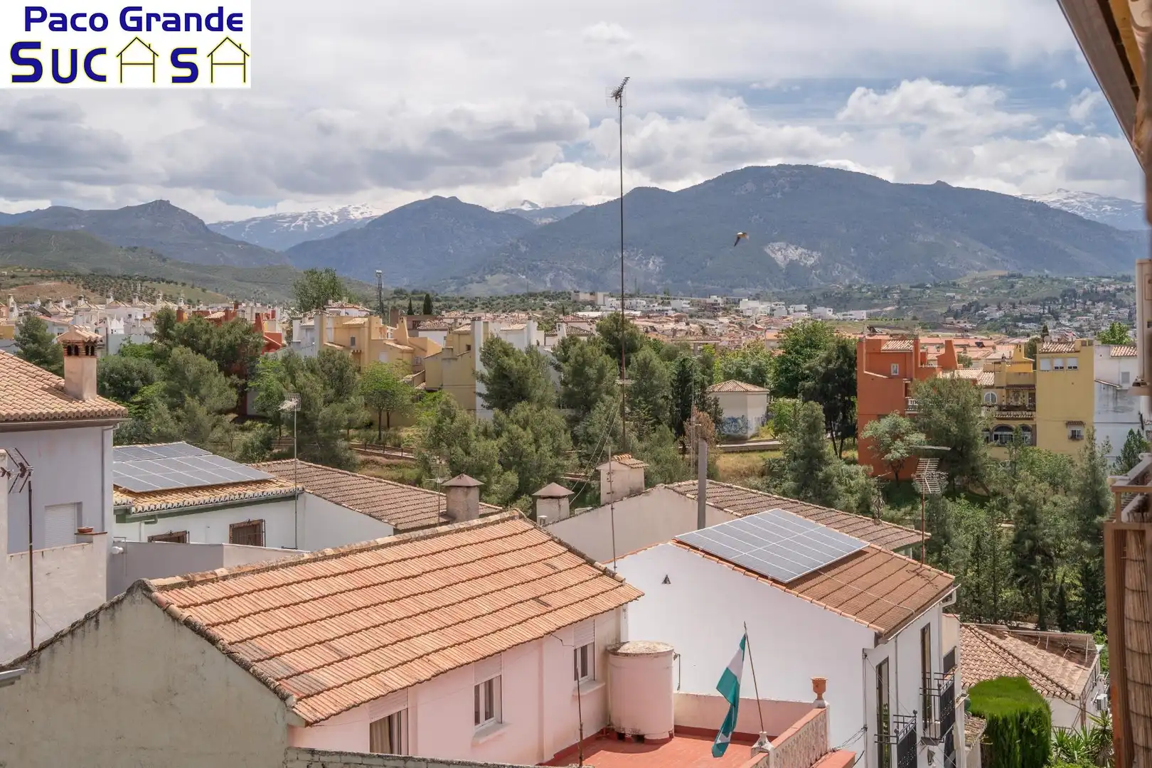 Flat with terrace for sale in Calle  Pintor Murillo 5, imagen 16