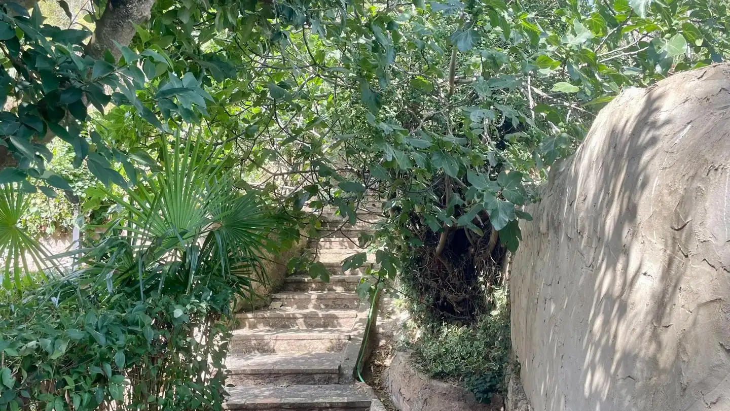 Haus mit Garten zum Verkauf in La Parra, imagen 26