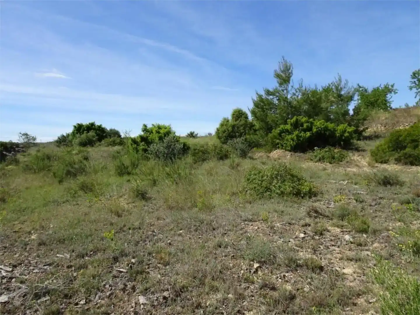 Land for sale in Batea
