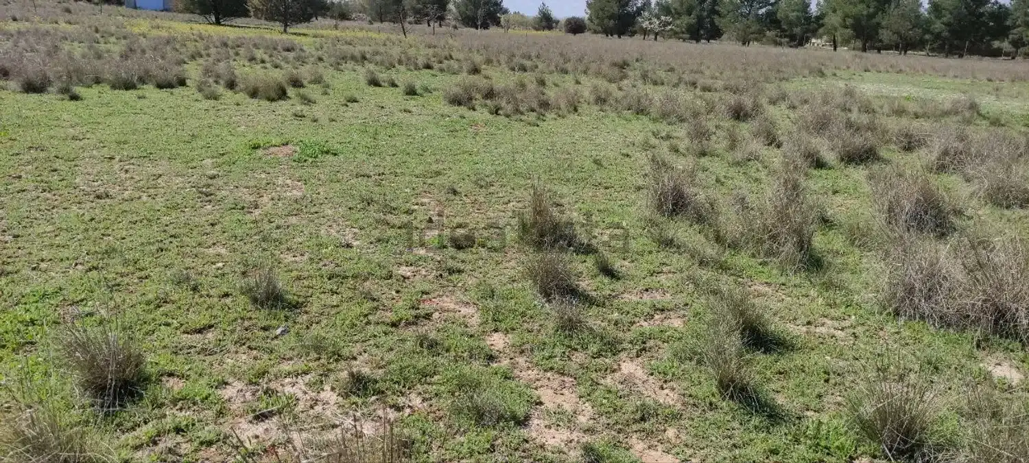 Terreno rustico in vendita a Pedanías - Extrarradio, imagen 8