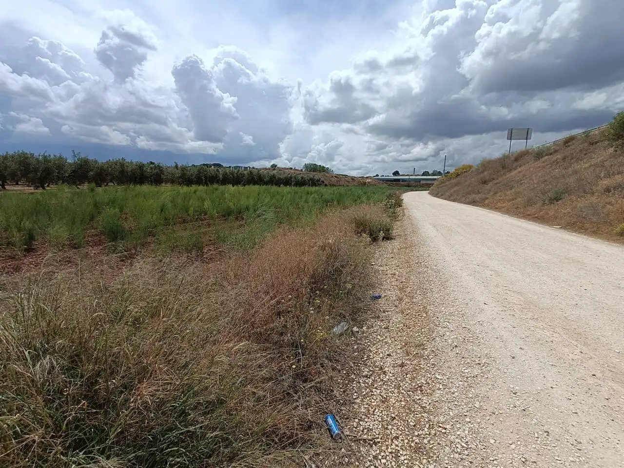 Rural land for sale in Moraleda de Zafayona, imagen 6