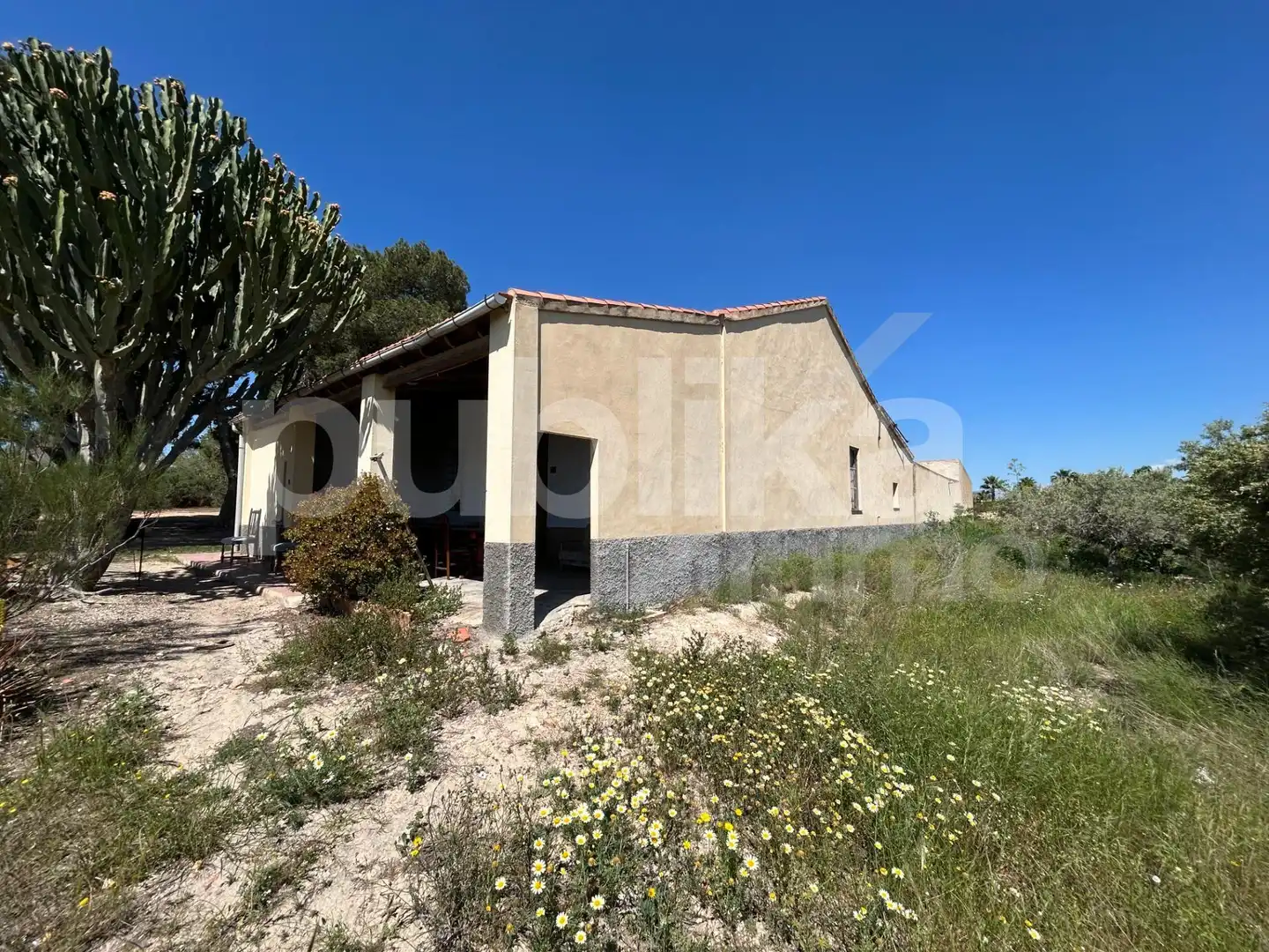 Vista exterior de Finca rústica en venda en Elche / Elx amb Jardí privat