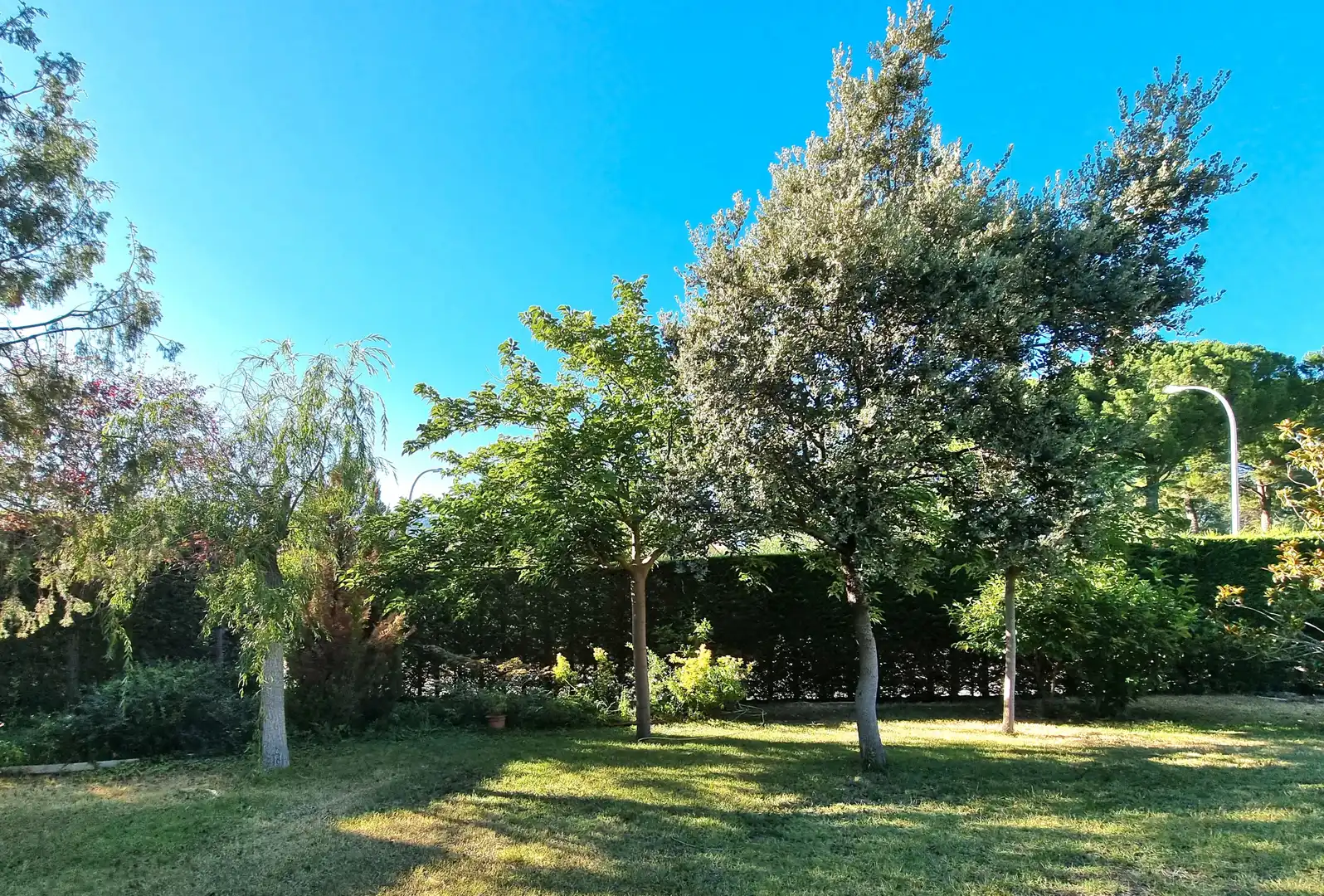 Casa o chalet de alquiler en Calle Enrique Granados, 8, Hoyo de Manzanares