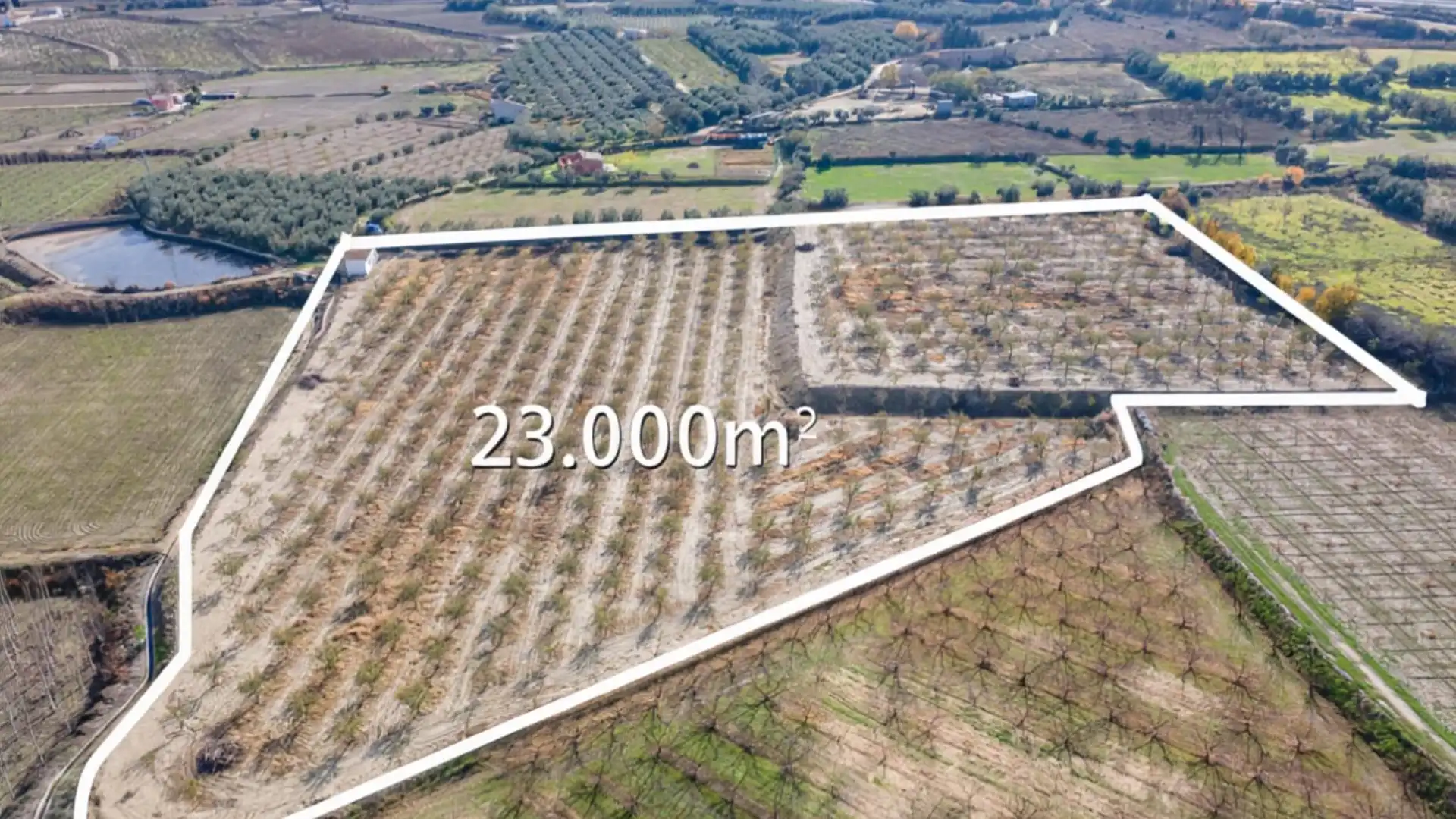 Land for sale in Guadix