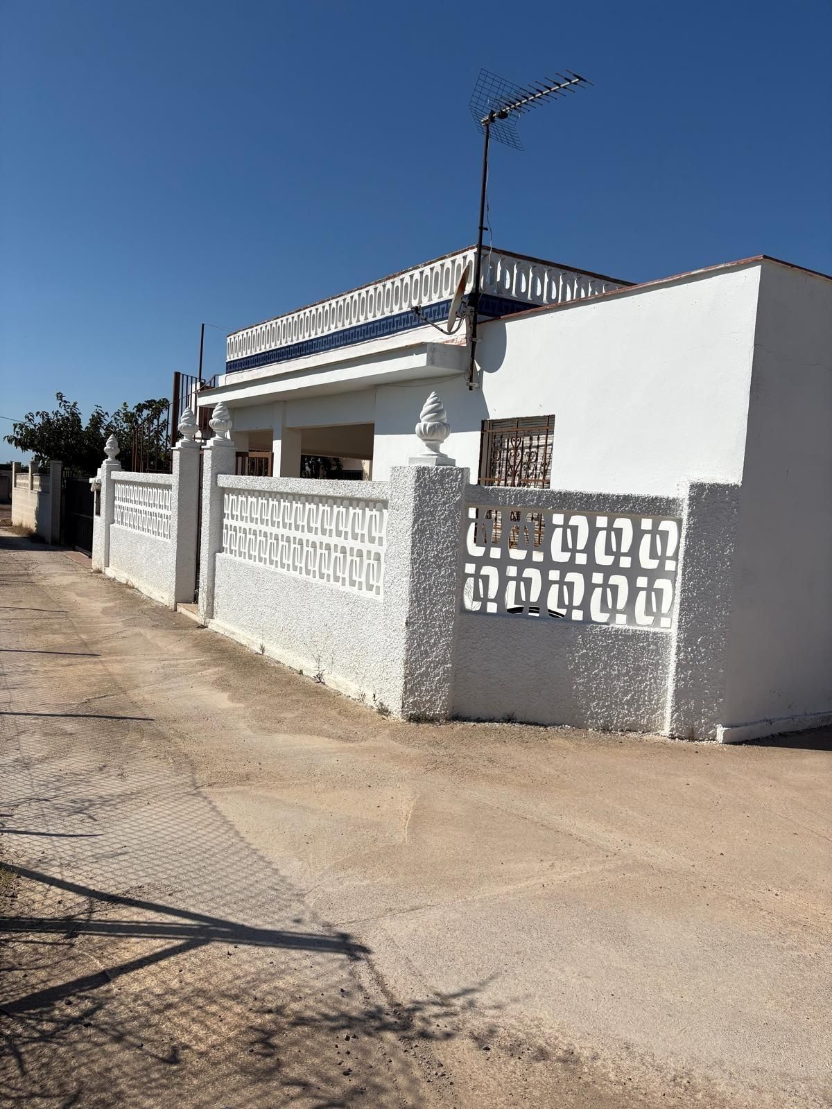 Exterior view of House or chalet for sale in Almazora / Almassora  with Private garden and Terrace