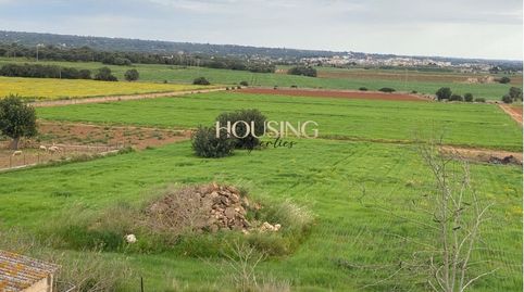 Photo 4 of Country homes for sale in Son Ferriol, Palma de Mallorca