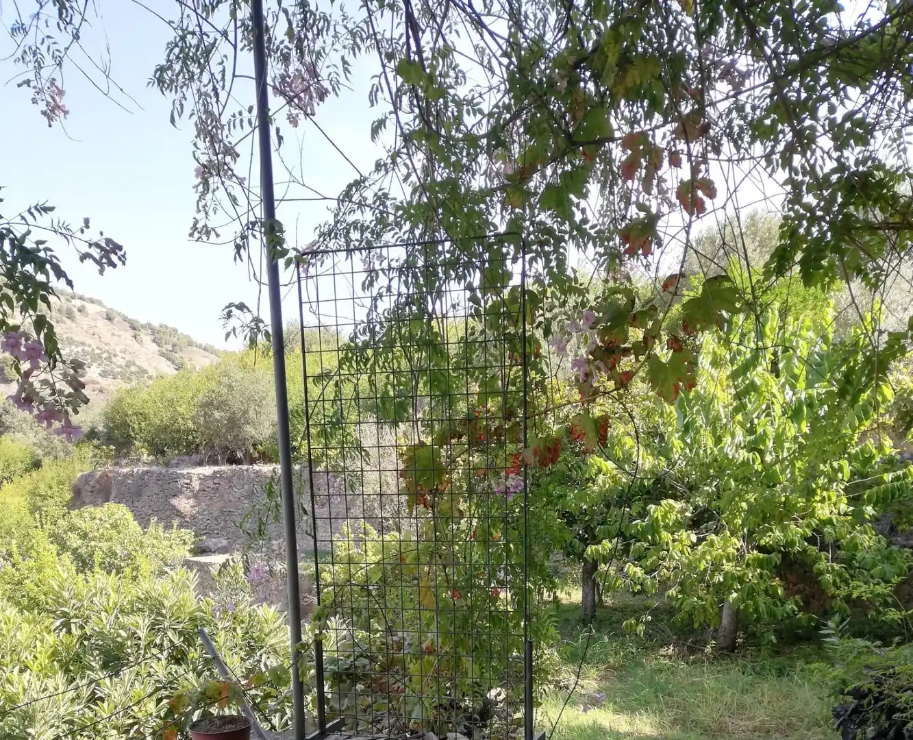 Casa rústica amb jardí en venda a Vélez de Benaudalla, imagen 27