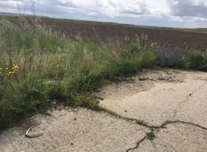 Land for sale in Torrejón de la Calzada