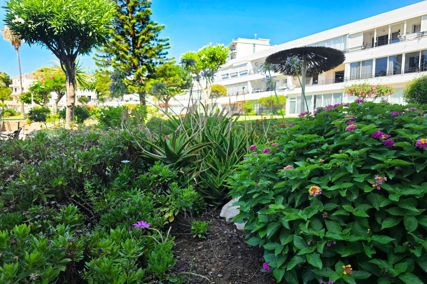 Apartamento con piscina en venta en TERRAMAR ALTO, imagen 33