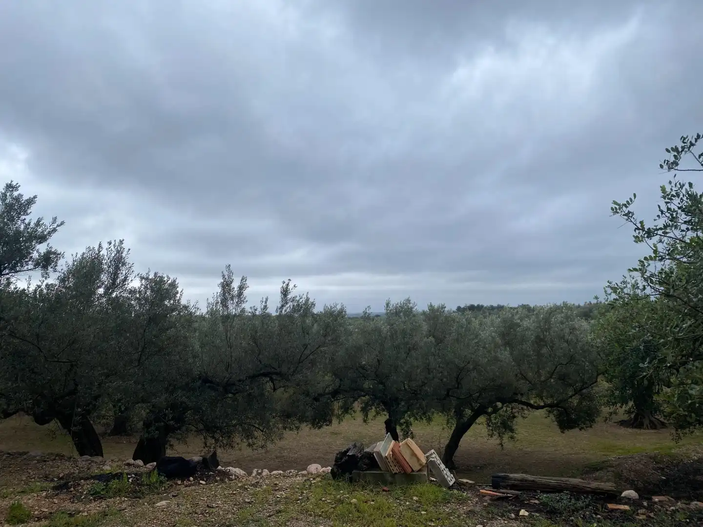 Terreno rustico in vendita a Roquetes, imagen 9