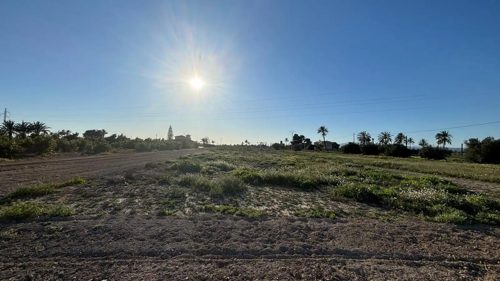 Grundstücke zum Verkauf in Elche / Elx