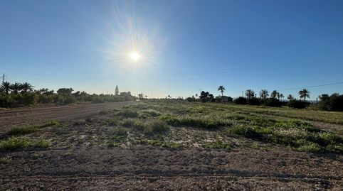 Foto 3 de Terreno en venta en Camí de Casas Juntas, Alzabares, Elche / Elx