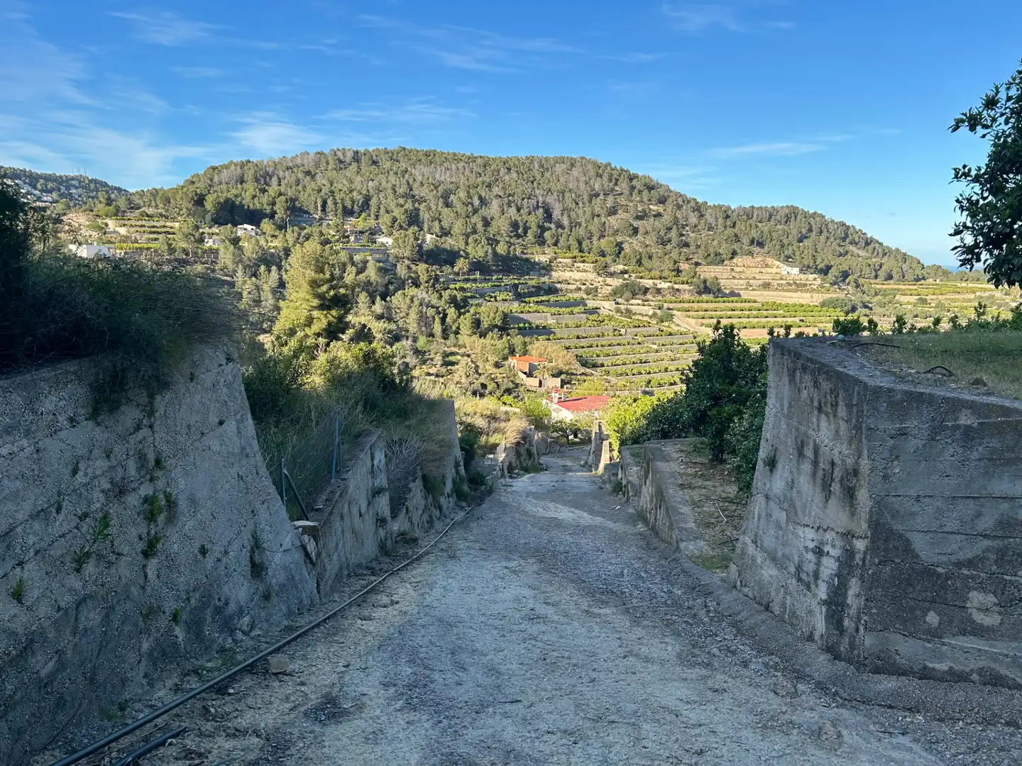 Vista exterior de Finca rústica en venda en Oliva amb Moblat