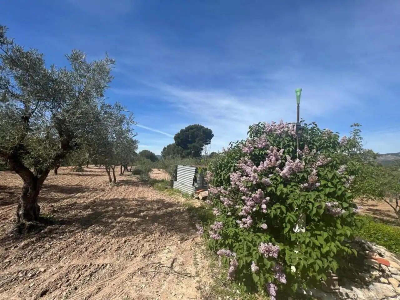 Chalet con jardín en venta en Calle Poligono, imagen 151