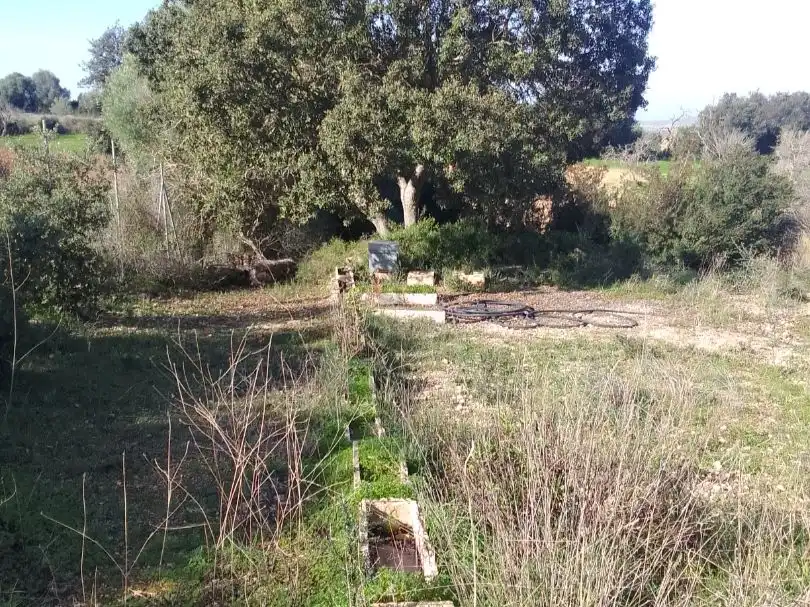 Terreno rustico in vendita a Son Manera 9, imagen 6