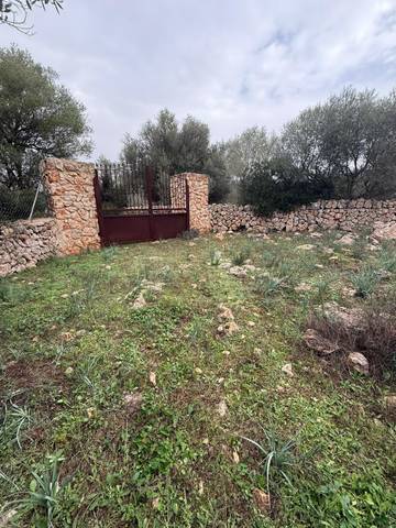 Terreno en Venta en Llubí