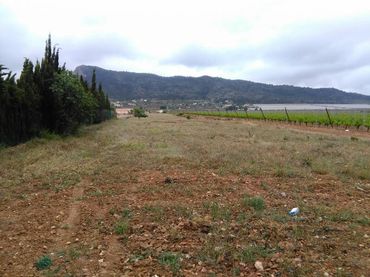 Terreno rustico in vendita a Aspe Centro