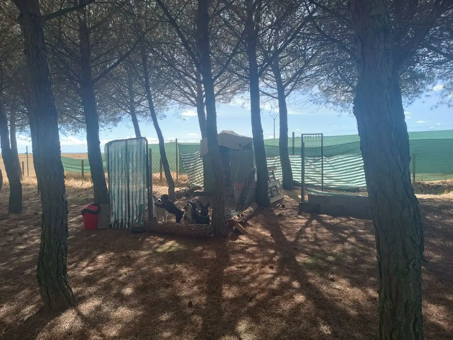 Casa o xalet en venda en Villarrabé, Palencia