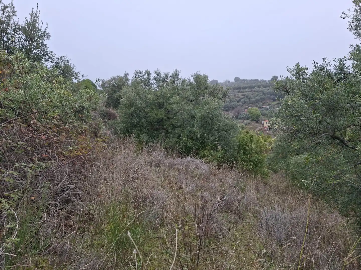 Terreni e lotti in vendita a Malpartida de Plasencia, imagen 8