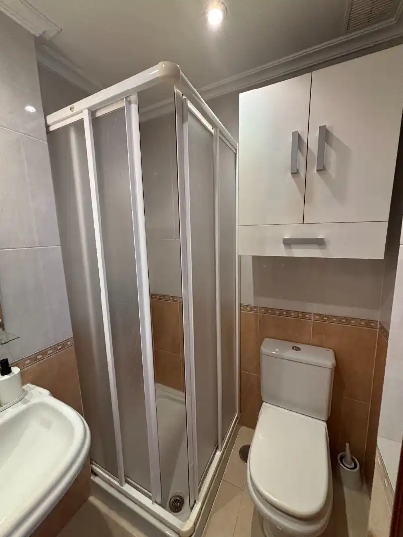 Baño de Piso de alquiler en Gondomar con Terraza, Amueblado y Lavadora