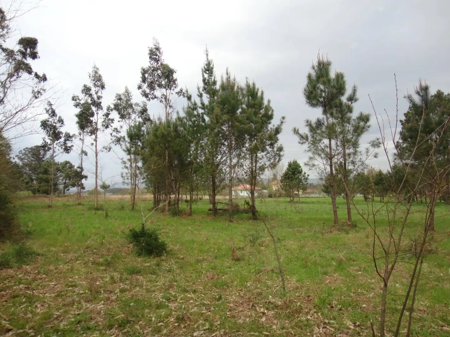 Lands and plots for sale in Brión, imagen 6