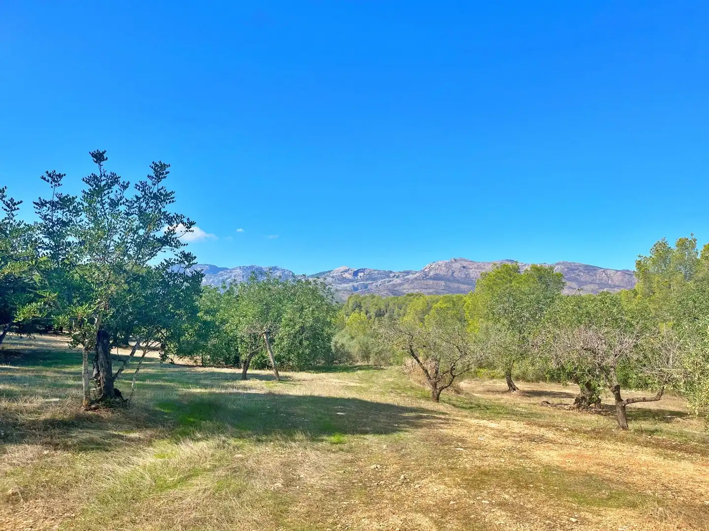 Houses for sale in Aldover