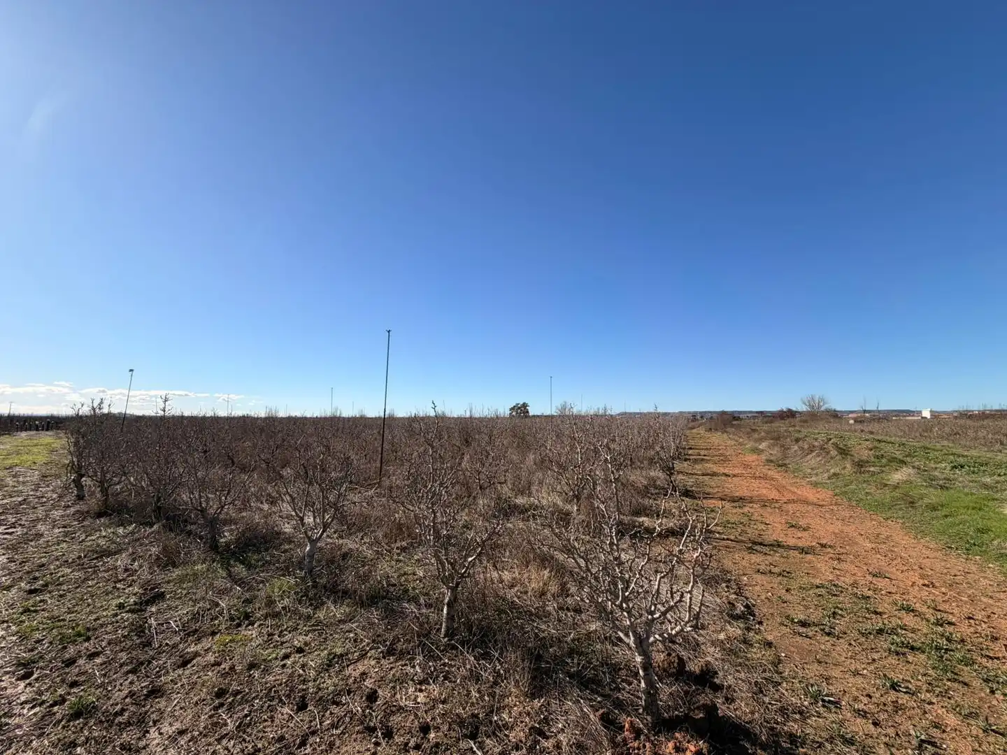 Terreno rustico in vendita a Corbins, imagen 8