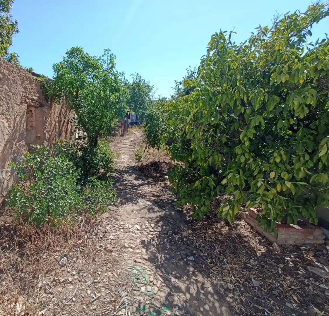 Casa o xalet en venda en Solana de los Barros amb Aire condicionat