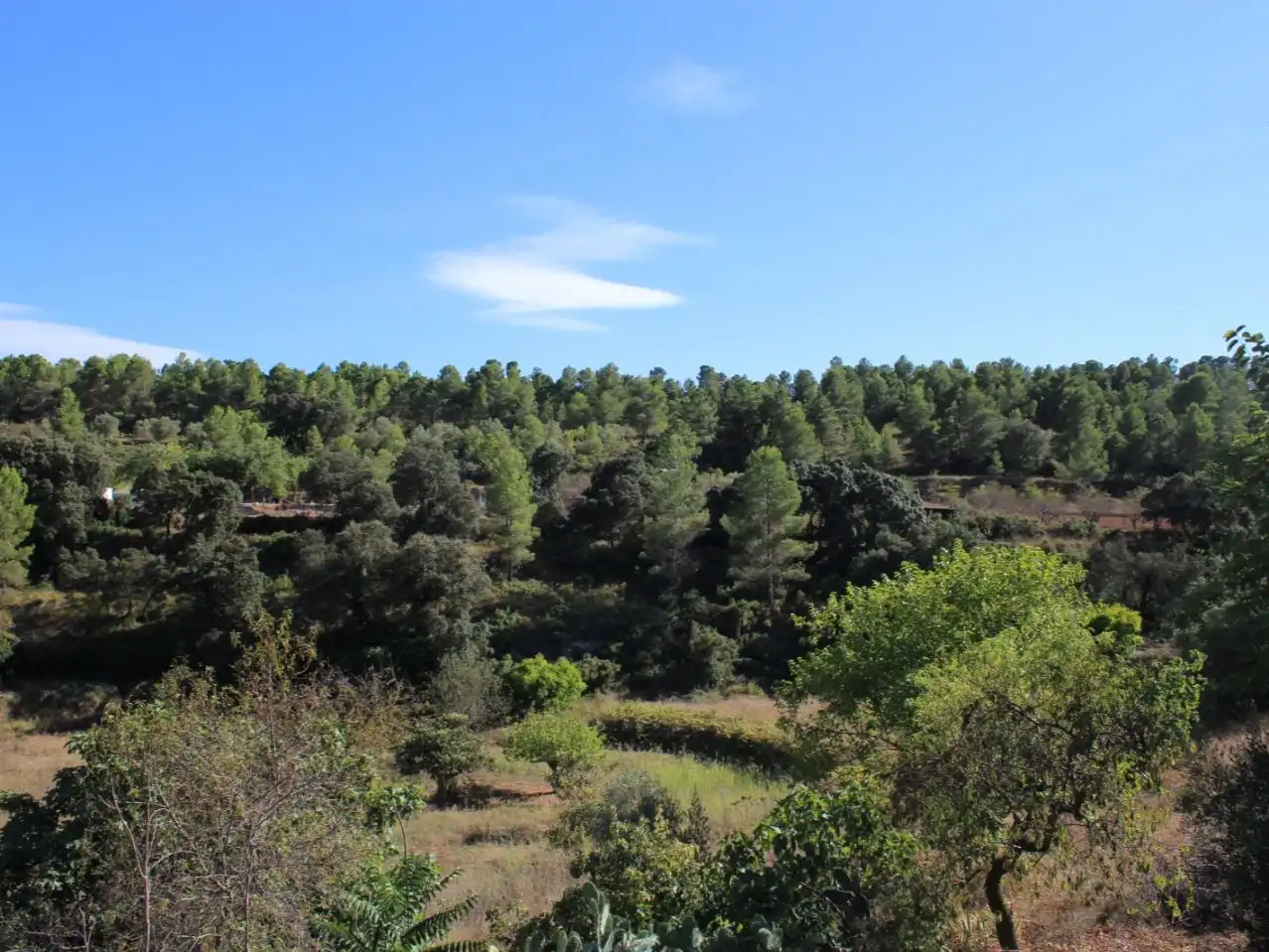 Country homes for sale in Enguera