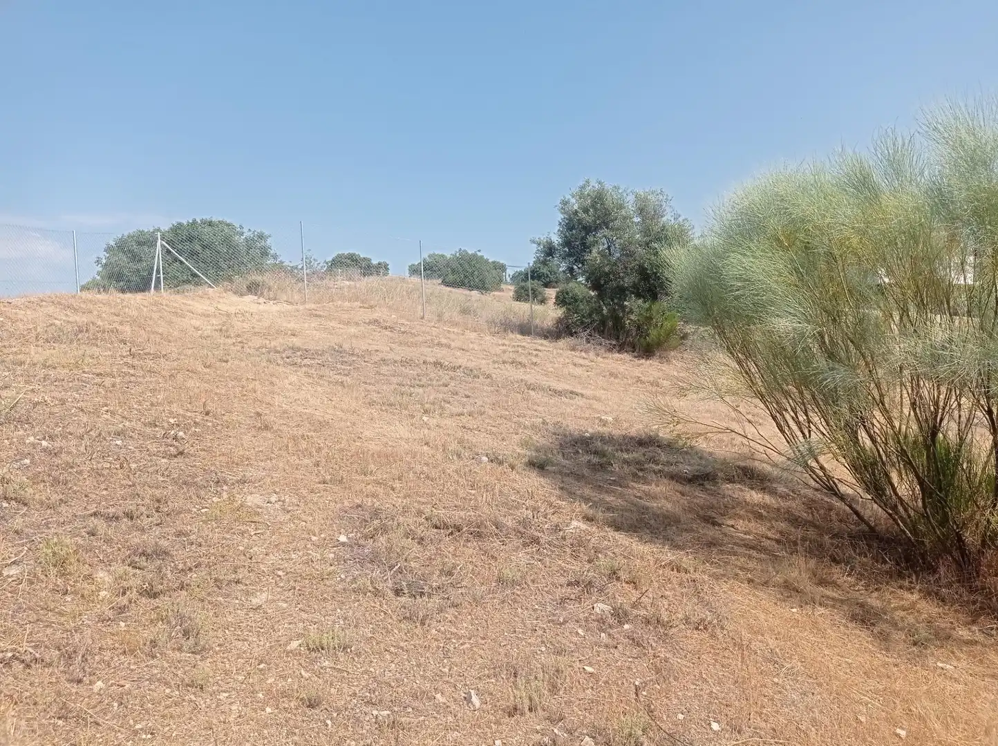 Terreni e lotti in vendita a San Martín de Valdeiglesias, imagen 13