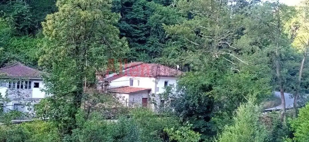 Vista exterior de Casa o chalet en venta en Proaza con Calefacción, Jardín privado y Terraza