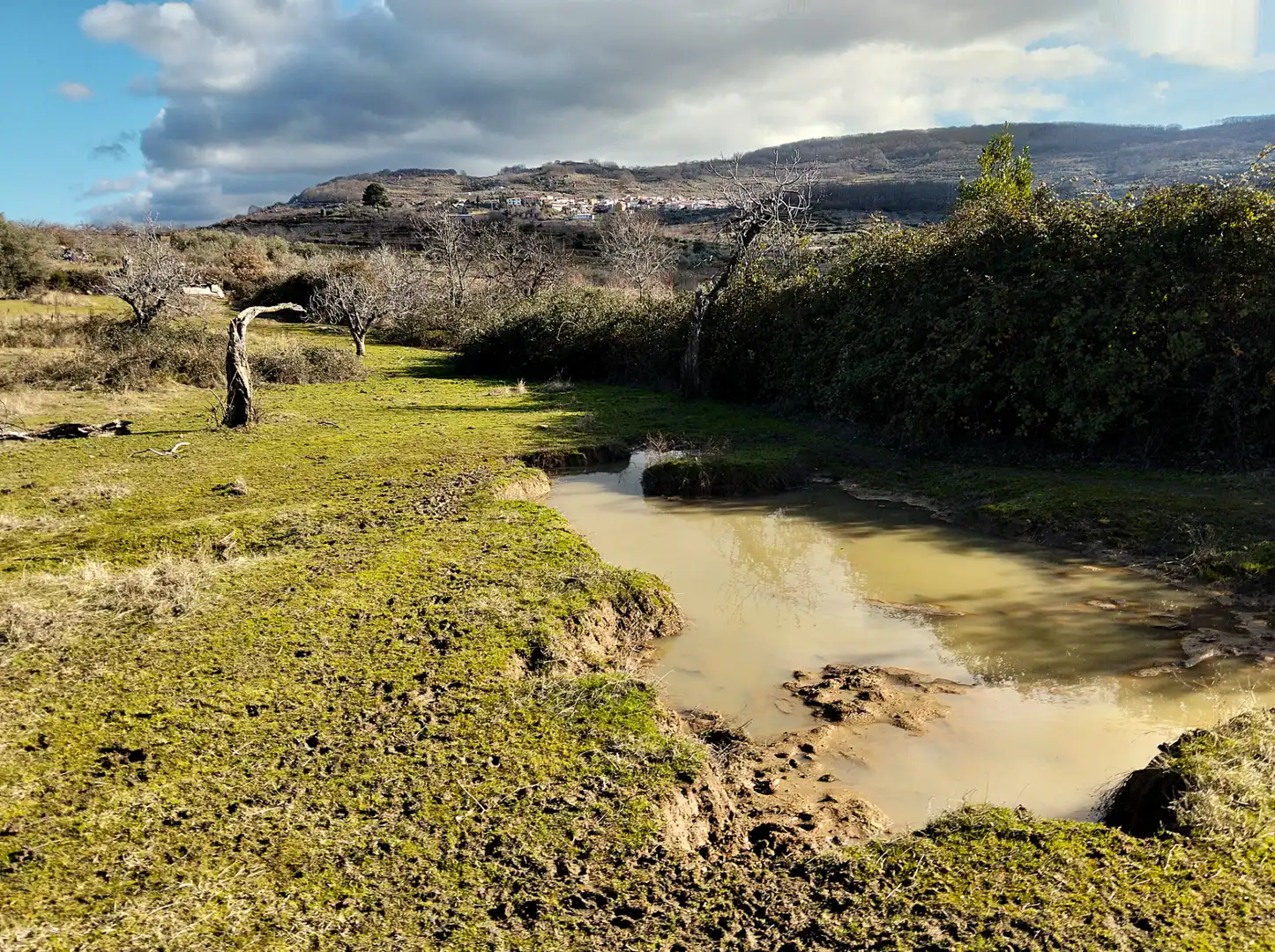 Vista exterior de Terreno en venta en Casas del Castañar