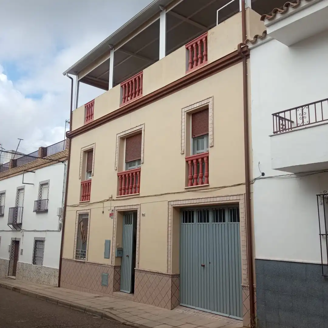 Vista exterior de Casa o xalet en venda en Córdoba amb Aire condicionat, Terrassa i Balcó