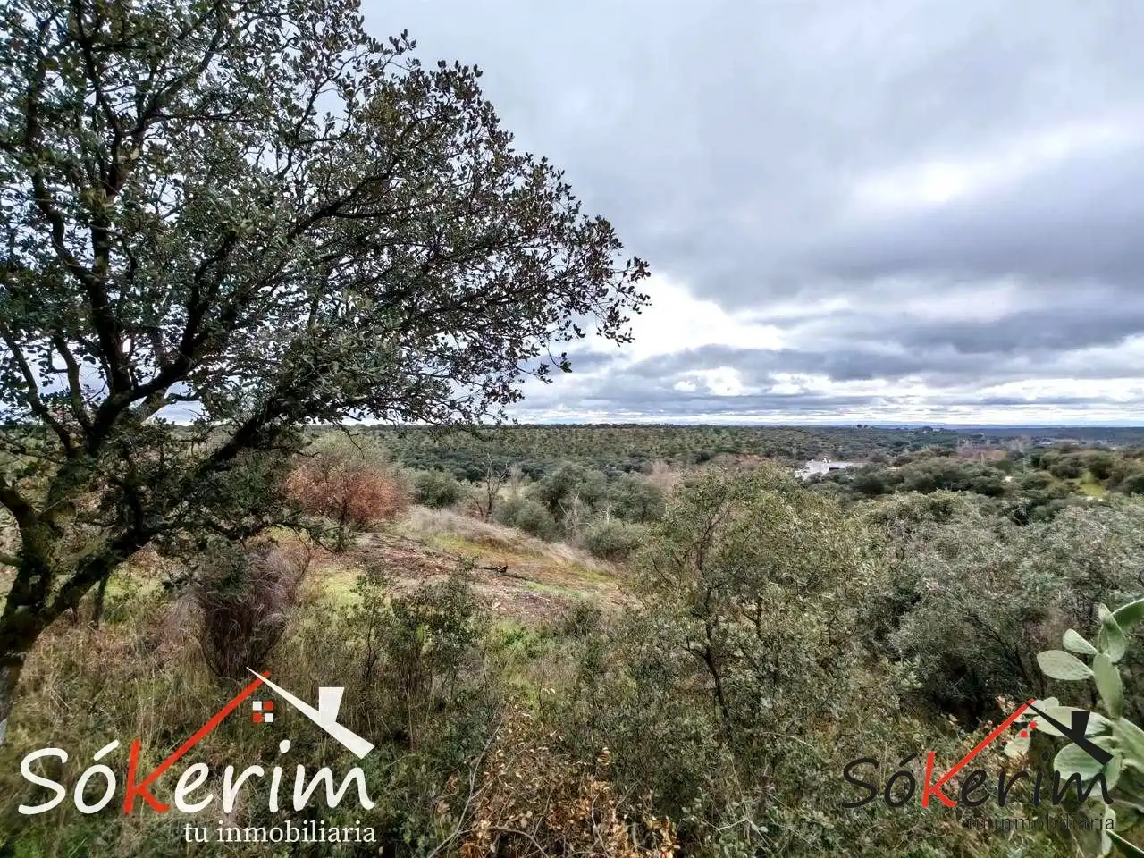 Piso en venta en San Román de los Montes con Calefacción, Jardín privado y Terraza